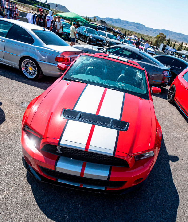 Shelby